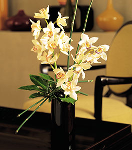  Ktahya yurtii ve yurtd iek siparii  cam yada mika vazo ierisinde dal orkide