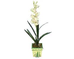 zel Yapay Orkide Beyaz   Ktahya internetten iek siparii 