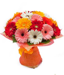 Renkli gerbera buketi  Kütahya çiçek satışı 