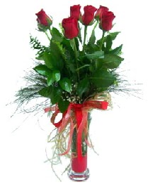 vazo içerisinde 5 kırmızı gül  Kütahya internetten çiçek satışı 
