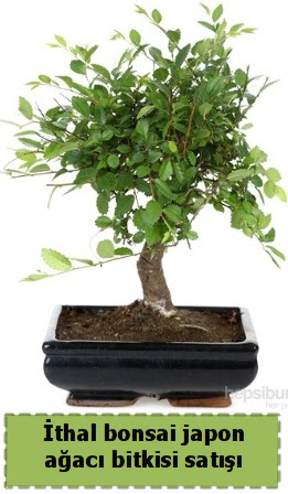 thal bonsai saks iei Japon aac sat  Ktahya online iek gnderme sipari 