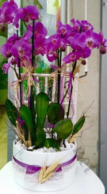 Seramik vazoda 4 dall mor lila orkide  Ktahya nternetten iek siparii 
