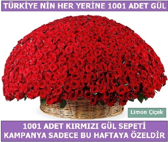 1001 Adet kırmızı gül Bu haftaya özel  Kütahya online çiçek gönderme sipariş 
