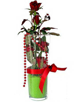  Kütahya İnternetten çiçek siparişi  Cam yada mika içerisinde 9 adet kirmizi gül - sevdiklerinize özel 