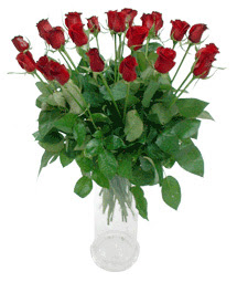  Kütahya 14 şubat sevgililer günü çiçek  11 adet kimizi gülün ihtisami cam yada mika vazo modeli