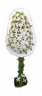  Kütahya kaliteli taze ve ucuz çiçekler  nikah , dügün , açilis çiçek modeli  Kütahya İnternetten çiçek siparişi 