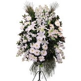  Kütahya çiçek gönderme sitemiz güvenlidir  Ferforje beyaz renkli kazablanka